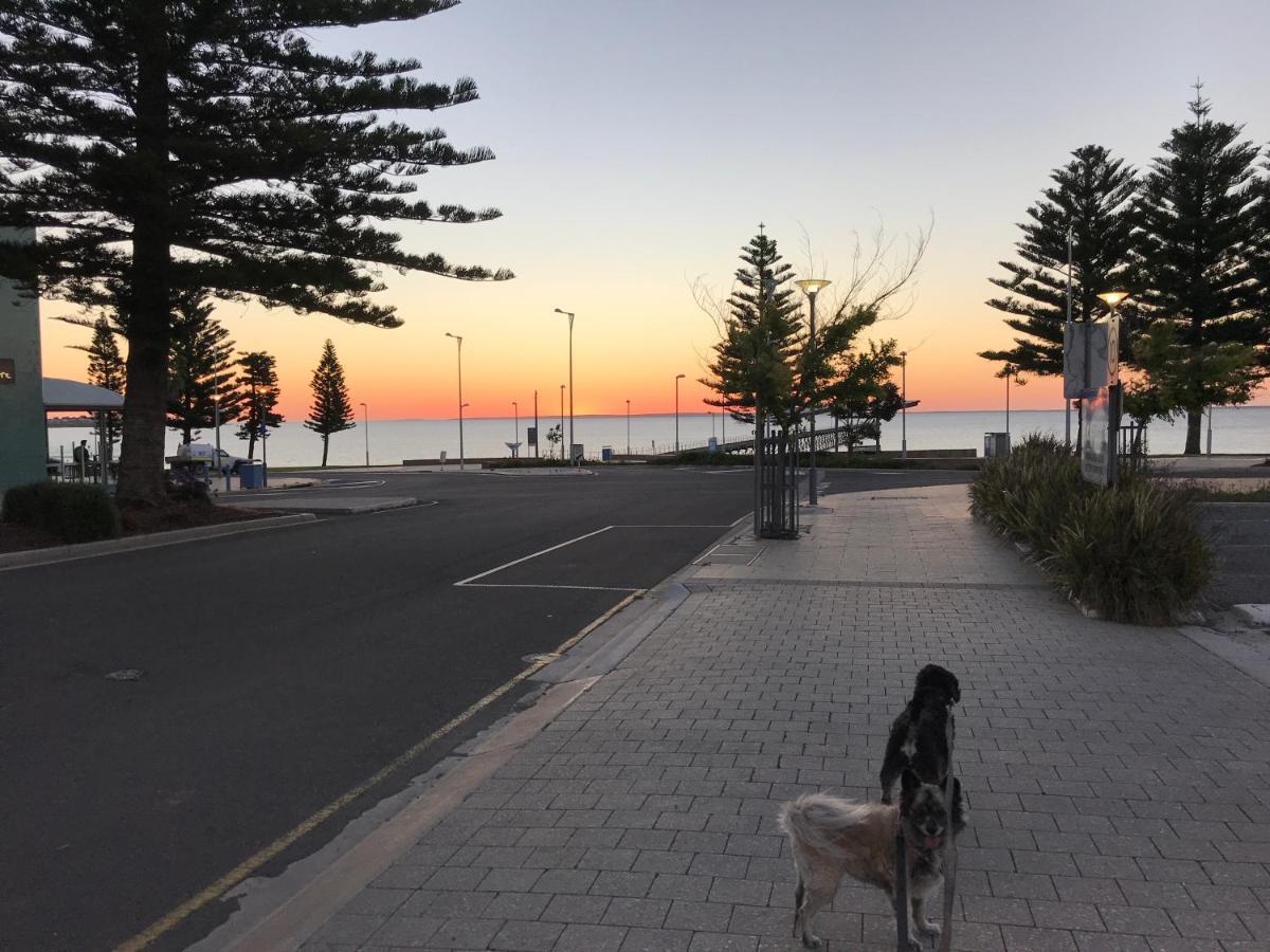 Big4 Ceduna Tourist Park מראה חיצוני תמונה